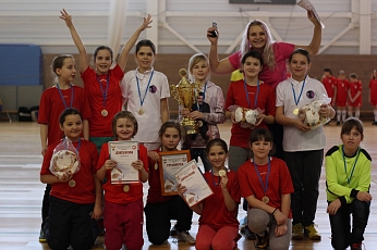 Соревнования по мини-футболу среди юношеских команд пройдут в Воронежской области